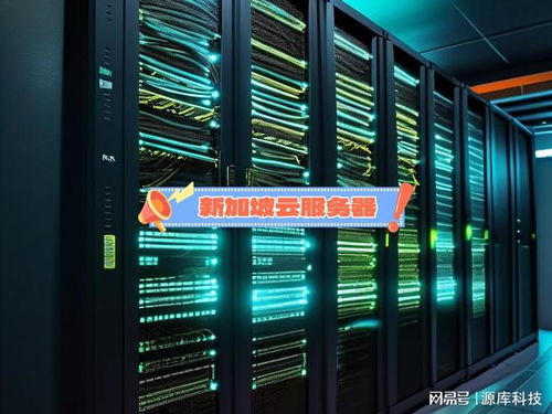 新加坡云服務(wù)器租用關(guān)鍵因素 數(shù)據(jù)處理與存儲支持服務(wù)解析